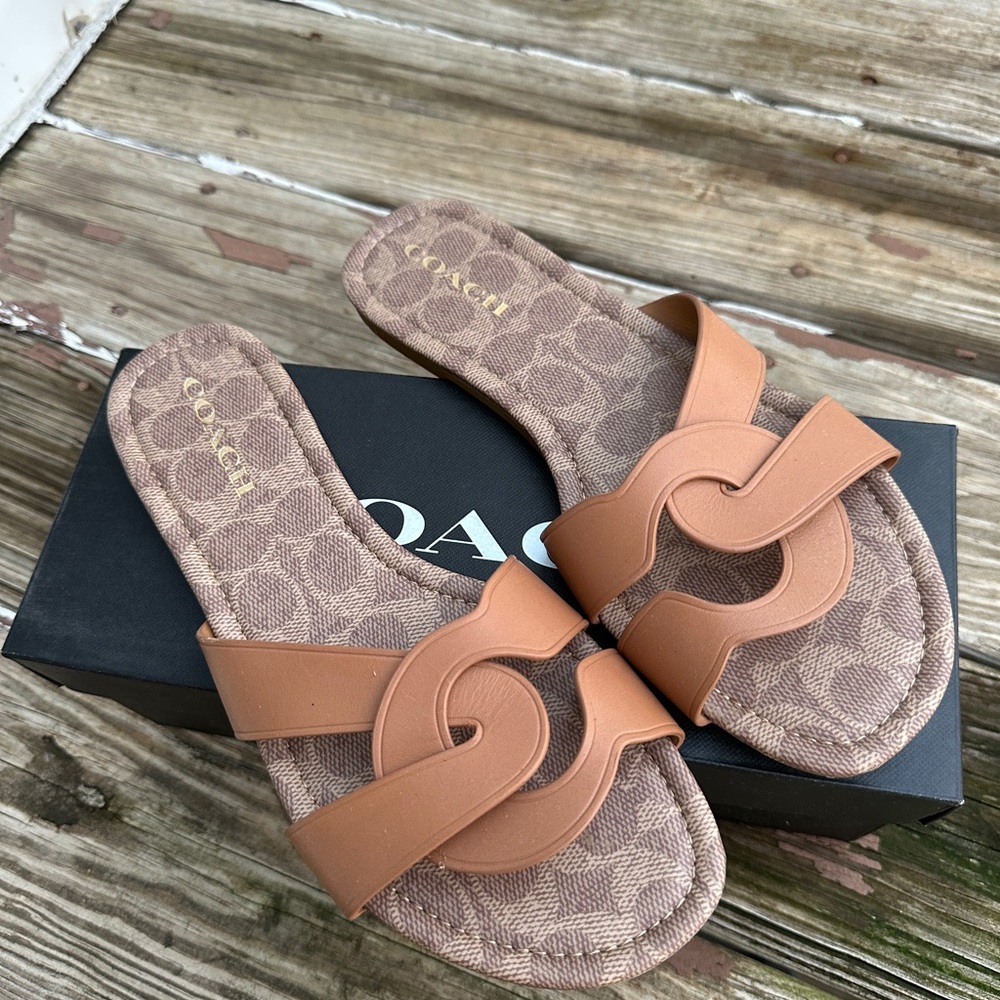 Coach slides 1 sz